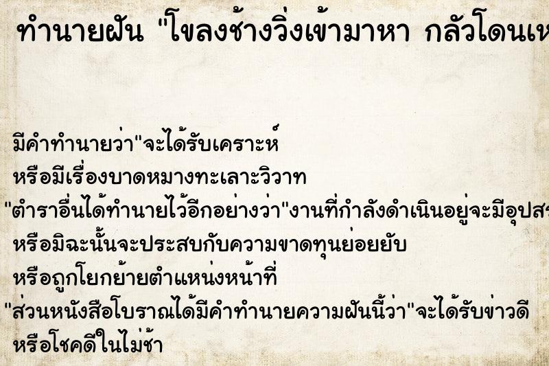 ทำนายฝันโขลงช้างวิ่งเข้ามาหากลัวโดนเหยียบก็วิ่งหาที่หลบ ทำนายฝันทำนายฝันโขลงช้างวิ่งเข้ามาหากลัวโดนเหยียบก็วิ่งหาที่หลบ